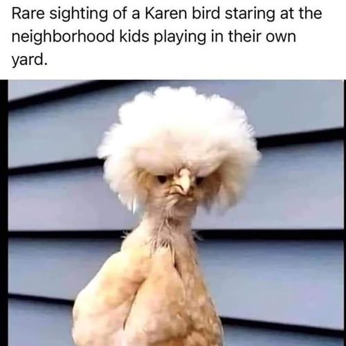 FB_IMG_1662569314211