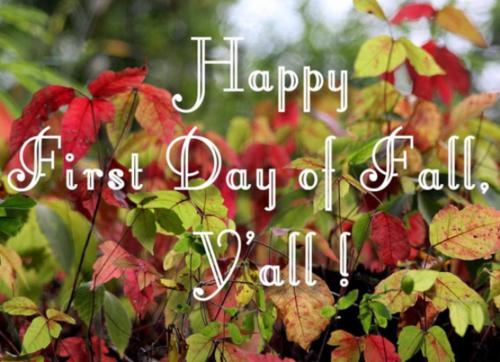 15:51:31 GMT-0500 (CDT)