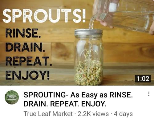 Screenshot_2022-09-14-08-22-56-223_com.google.android.youtube~2