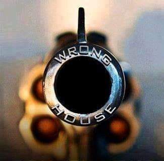 FB_IMG_1541156232435