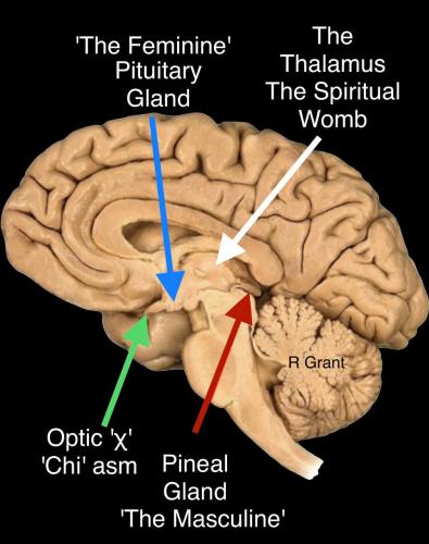 IMG_20220719_075858_758