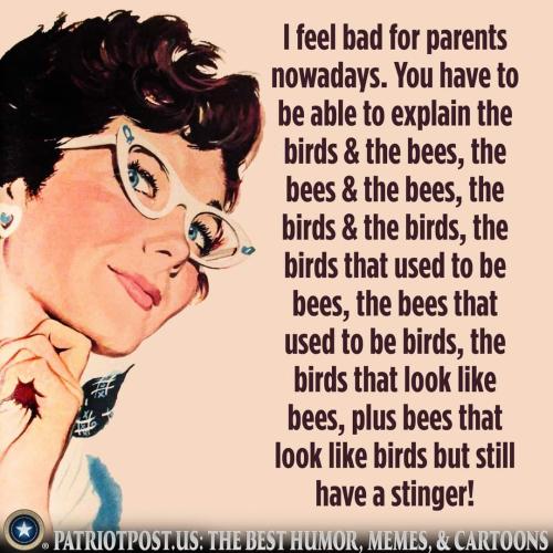 FB_IMG_1663378250203