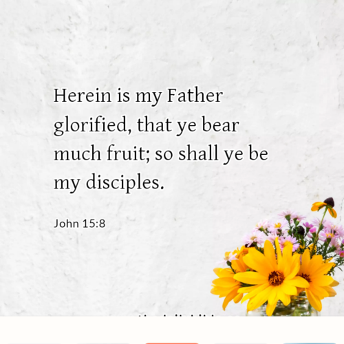 dailybible_20220909-152551_John_15-8
