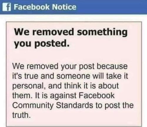 FB_IMG_1658942214922