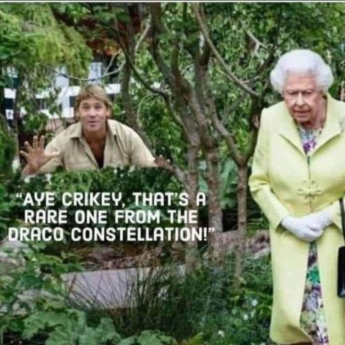 FB_IMG_1663614624885