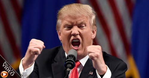 301880149_428247425830578_8209710873491645413_n