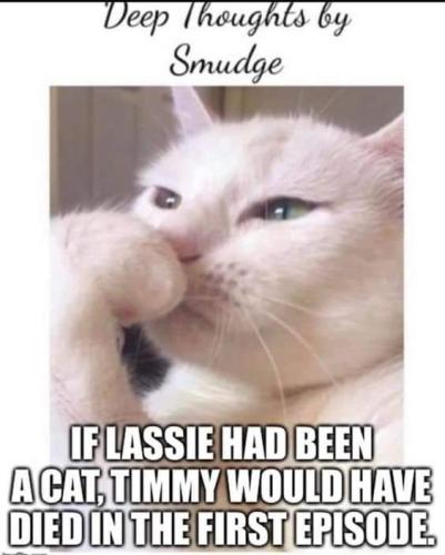 FB_IMG_1664545688274