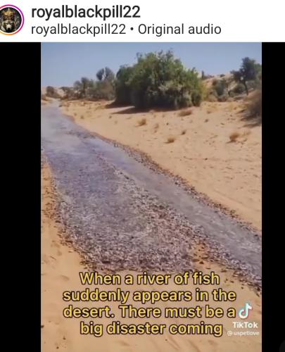 13:19:42 GMT-0400 (EDT)