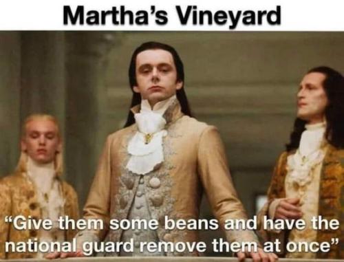 martha's vineyard30