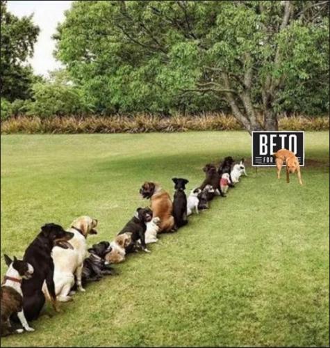 beto39
