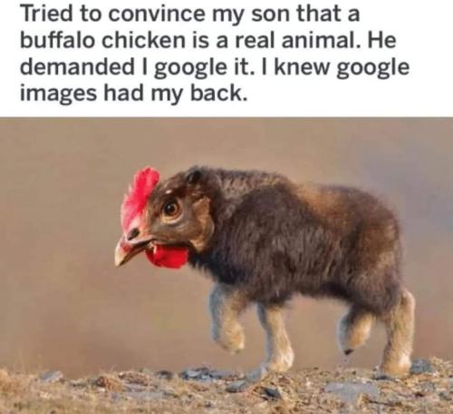 FB_IMG_1662477736694
