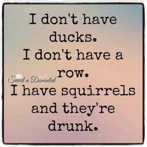 305072927_798109227879135_5656160954646435920_n