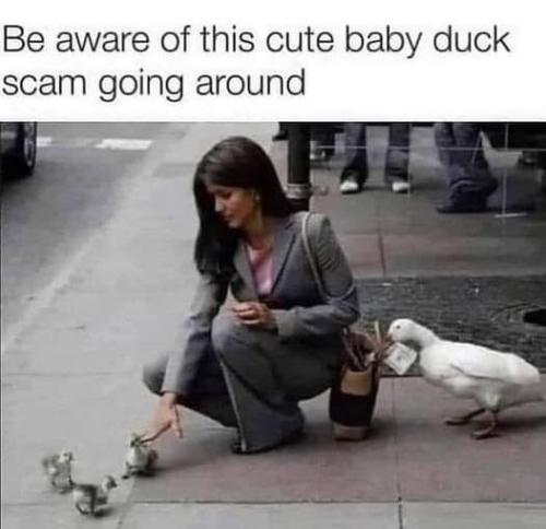 FB_IMG_1664464094663