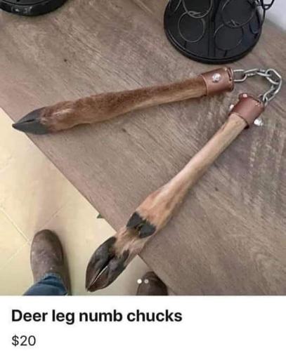FB_IMG_1664399408326