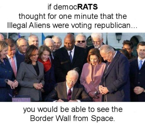 illegal immigration285