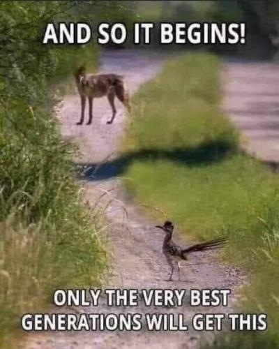 307645526_165884279434264_3126234787813020209_n