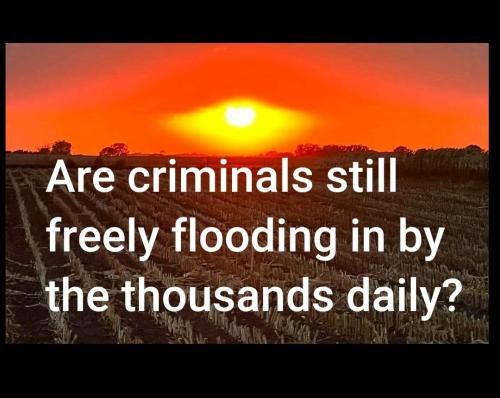 Screenshot_2022-09-22-09-15-05-730_com.google.android.apps.photos