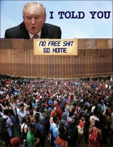 illegal immigration288