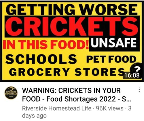 Screenshot_2022-09-18-10-04-52-249_com.google.android.youtube