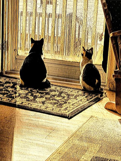 IMG_20220106_134636717