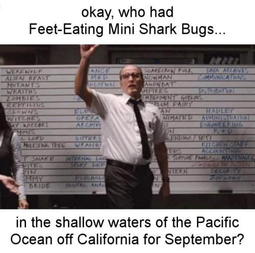 okay who had Feet-Eating Mini Shark Bugs in California for September