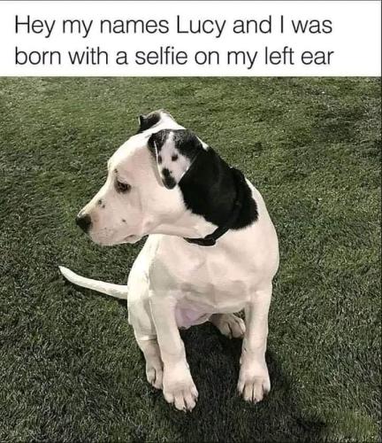 FB_IMG_1662739258242