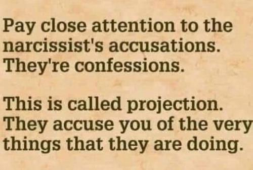 FB_IMG_1663115684118