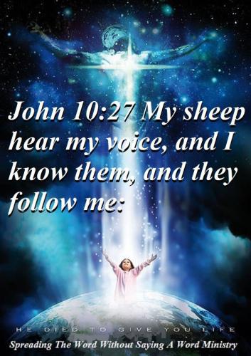 11224017_937375916344540_4120752494675401063_n