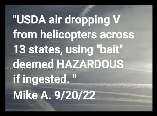 Screenshot_2022-09-22-09-10-13-843_cn.wps.moffice_eng