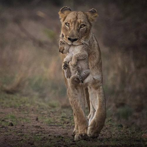 tumblr_bc469fc61cb6642110bba9f1a7775279_e24a52a0_540