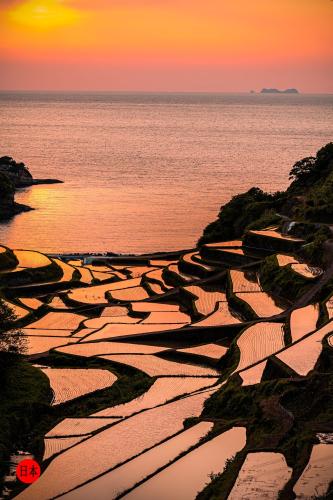 305801029_451390963677752_4292113697563728812_n