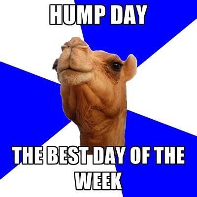 Hump Day