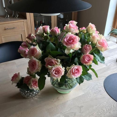 IMG_20220929_202009_180