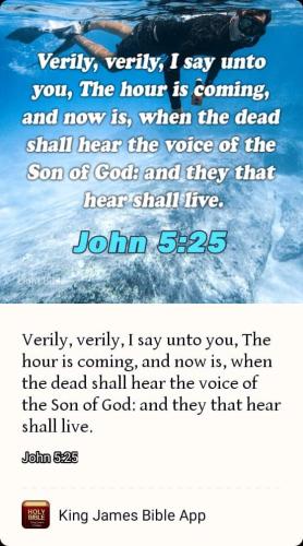 FB_IMG_1663889745520