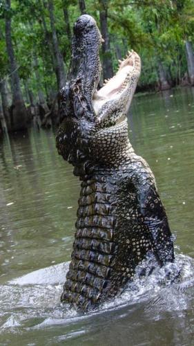 37888938_10209445164806222_338243380528021504_n