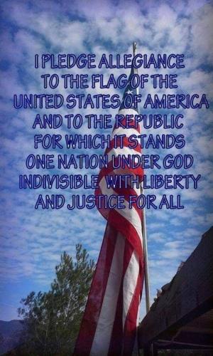 pledge to flag 167