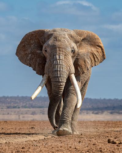 306948160_609441377297451_1512470382132448698_n