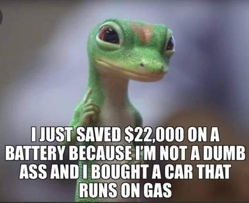 FB_IMG_1663037054034