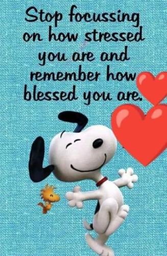 FB_IMG_1662231396779