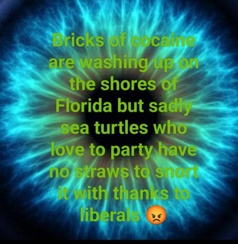 f46c46e5-4f99-439e-9045-378305b34a86