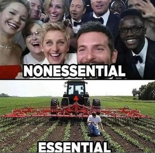 FB_IMG_1662747753411