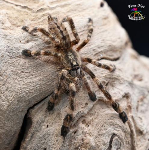 307101024_3271628119775729_2605321940576836422_n