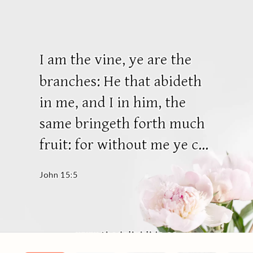 dailybible_20220907-023050_John_15-5