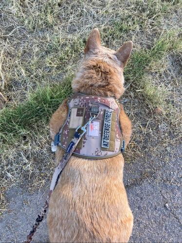 25F4F2C3-A17A-432B-A669-A77FB30E48AF