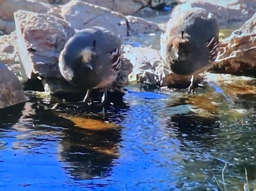 36187A98-3AA1-4D16-A16F-888B392056D3