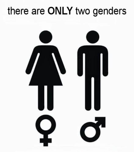 transgender171