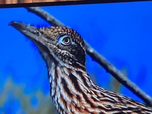 03C90A71-ED7C-42AC-9887-E8E22AD7AEA9