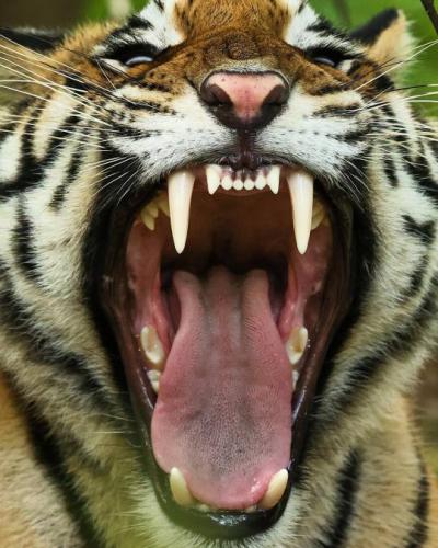 tumblr_2c29897a2f47cfddf9c2f2dd65f2cdab_d8797a32_540