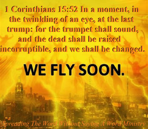 300860403_508174624088790_5890915339368936274_n (1)