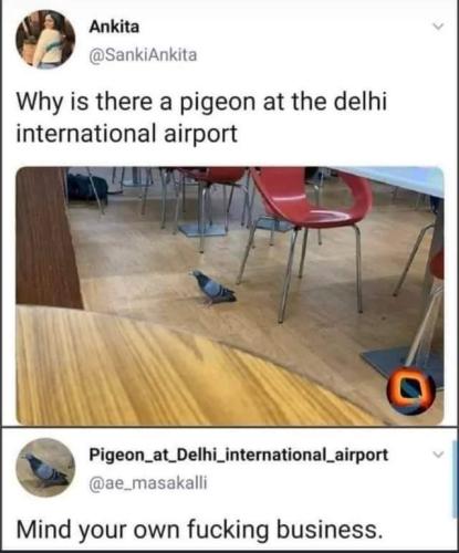 FB_IMG_1664381923071